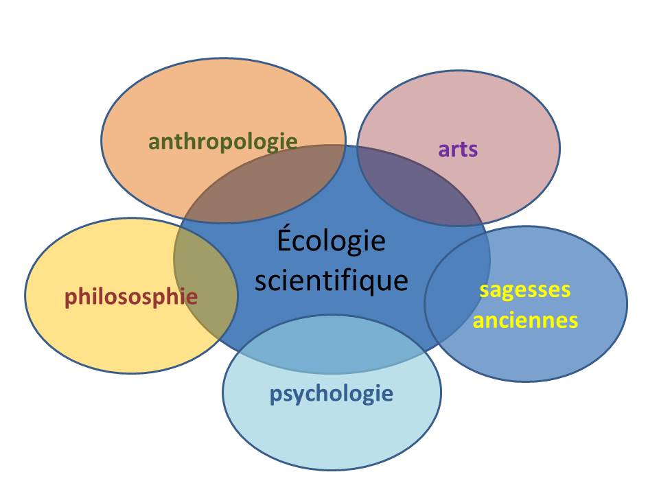 Formule 1 et Intelligence Artificielle : Un Pas Vers une Écologie Renouvelée ?