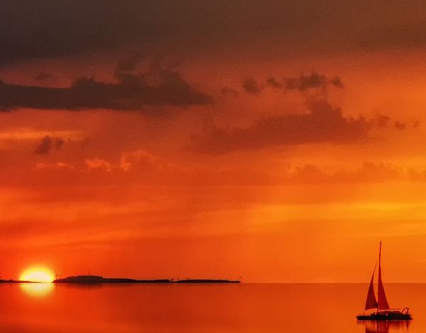 Formule 1 : La course spectaculaire réservée aux débutants sera finalement décalée à 2025.