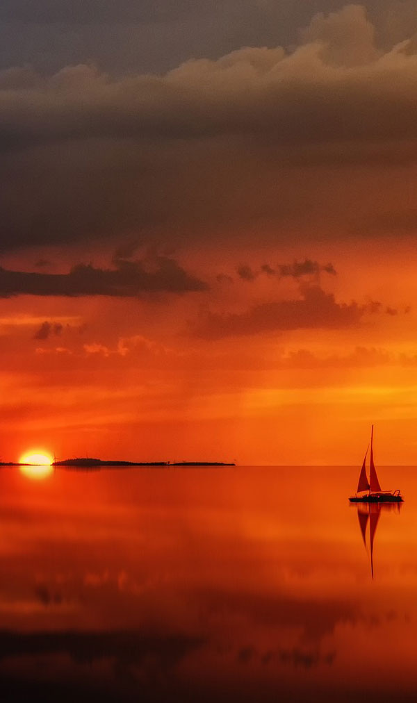 Formule 1 : La course spectaculaire réservée aux débutants sera finalement décalée à 2025.