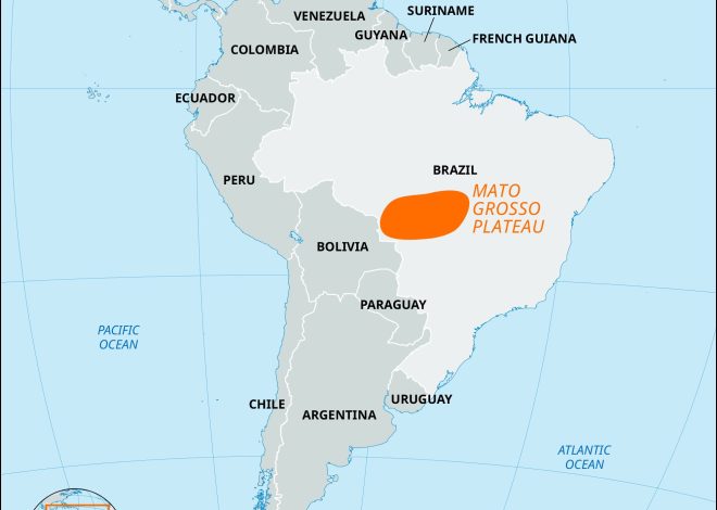 Oscar Piastri s’empare de la pole position pour le sprint au Grand Prix du Brésil, avec Lando Norris à ses côtés et Max Verstappen en quatrième place