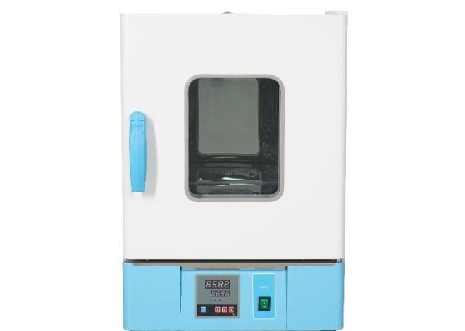 Formule 1 : Exploration de l&rsquo;incubateur des futurs champions français