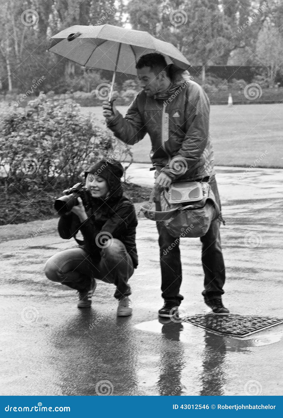 découvrez comment norris triomphe sous la pluie, affrontant les défis avec bravoure et détermination. une histoire inspirante qui montre que la persévérance peut mener à la victoire, même dans les conditions les plus difficiles.