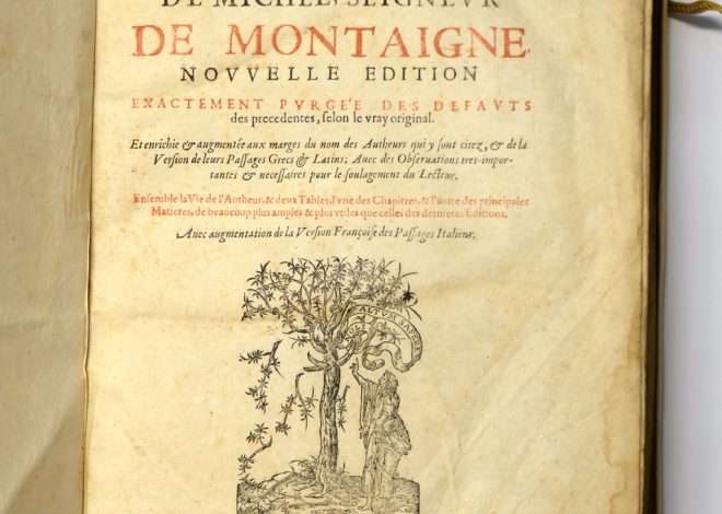 Sho Tsuboi et Ryo Hirakawa à l&rsquo;épreuve : essais de la Haas sur le circuit de Fuji