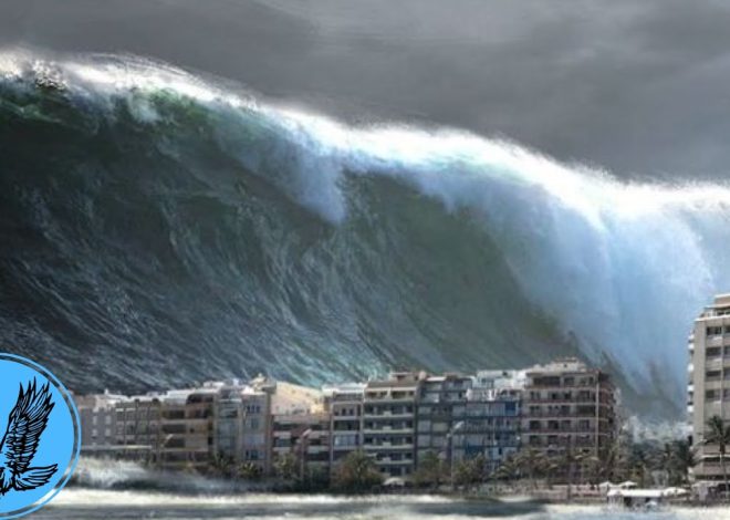 Une catastrophe évitée de justesse en Formule 1 : un spectacle fascinant