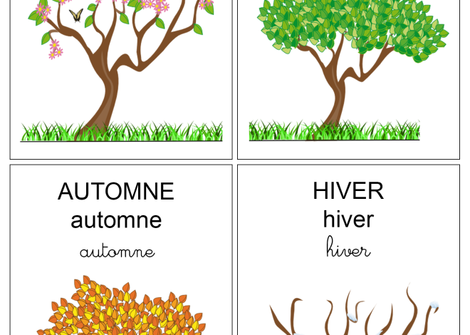 Découvrez tout ce qu&rsquo;il faut savoir sur la saison 2026 de Formule 1 : nouveautés, calendrier des 24 Grand Prix et chaînes télévisées