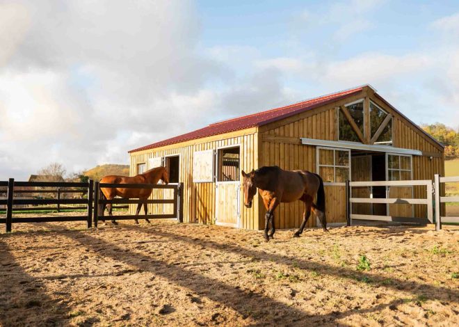 Événement inattendu : une écurie de Formule 1 forcée de renommer son équipe pour le Grand Prix des Pays-Bas