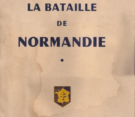 Formule 1 : en Hongrie, la bataille s&rsquo;intensifie pour rattraper McLaren avant la pause estivale