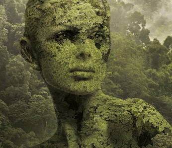 Des préchambres de combustion inspirées de la Formule 1 : la révolution pour réduire la consommation des moteurs thermiques, loin d&rsquo;être obsolètes !