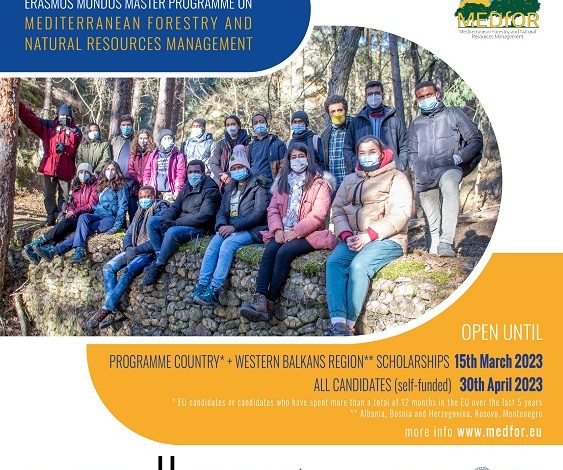 F1 : Découvrez le programme TV complet du Grand Prix de Las Vegas 2025