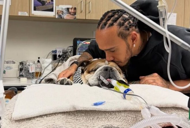Formule 1 : un hommage émouvant rendu à Roscoe à travers un geste poignant envers Lewis Hamilton