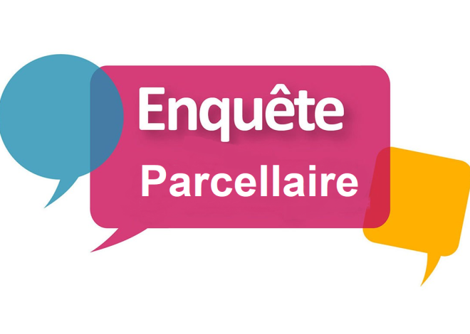 SONDAGE – Évaluez les Performances des Pilotes lors de la Saison 2025 de Formule 1