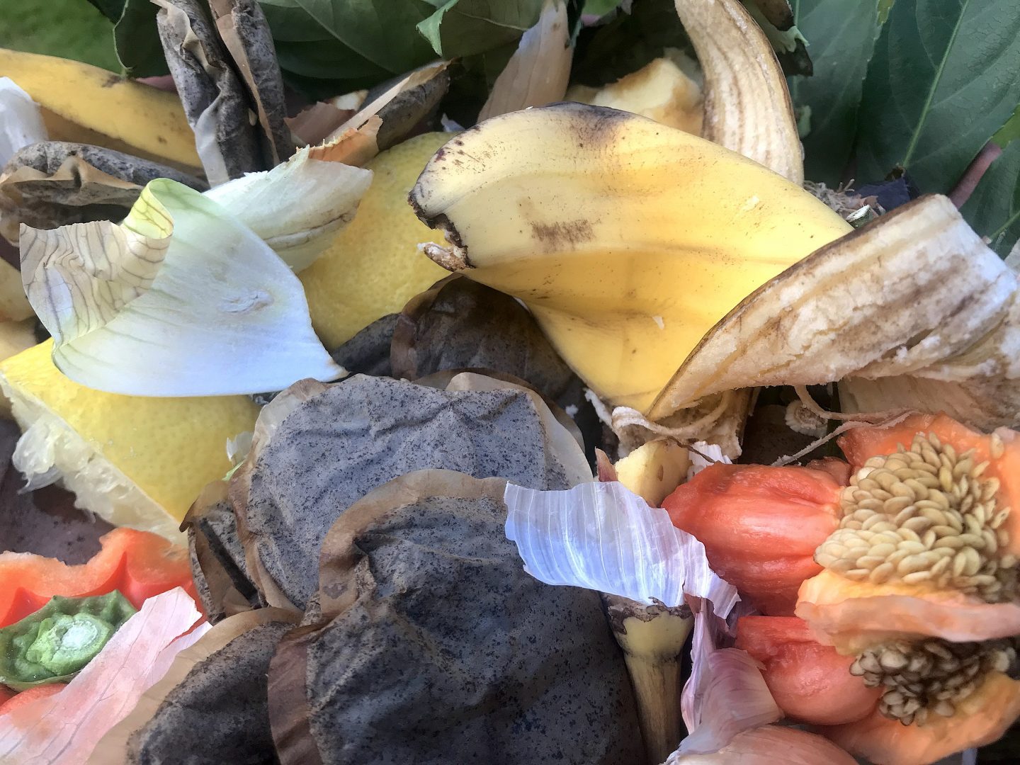 Formule 1 : un partenariat révolutionnaire avec Apple dépassant le simple streaming