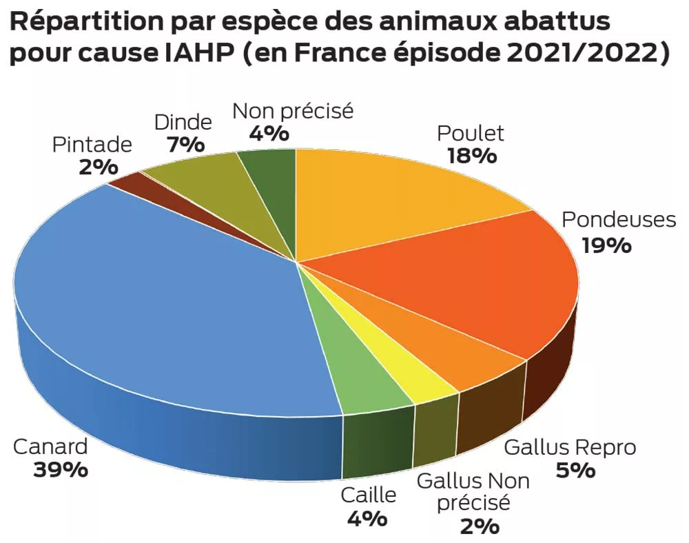 découvrez comment les tensions au moyen-orient ont provoqué des pertes de 100 millions d'euros, impactant fortement le monde de la f1.