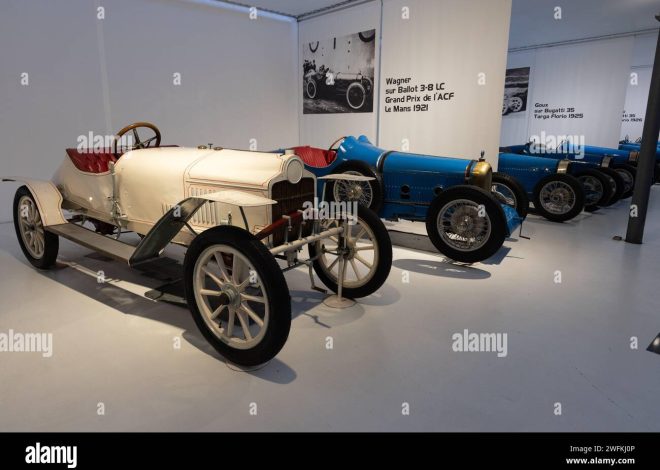Alsace : Le Musée de l’Automobile de Mulhouse dévoile 75 ans d’histoire de la Formule 1