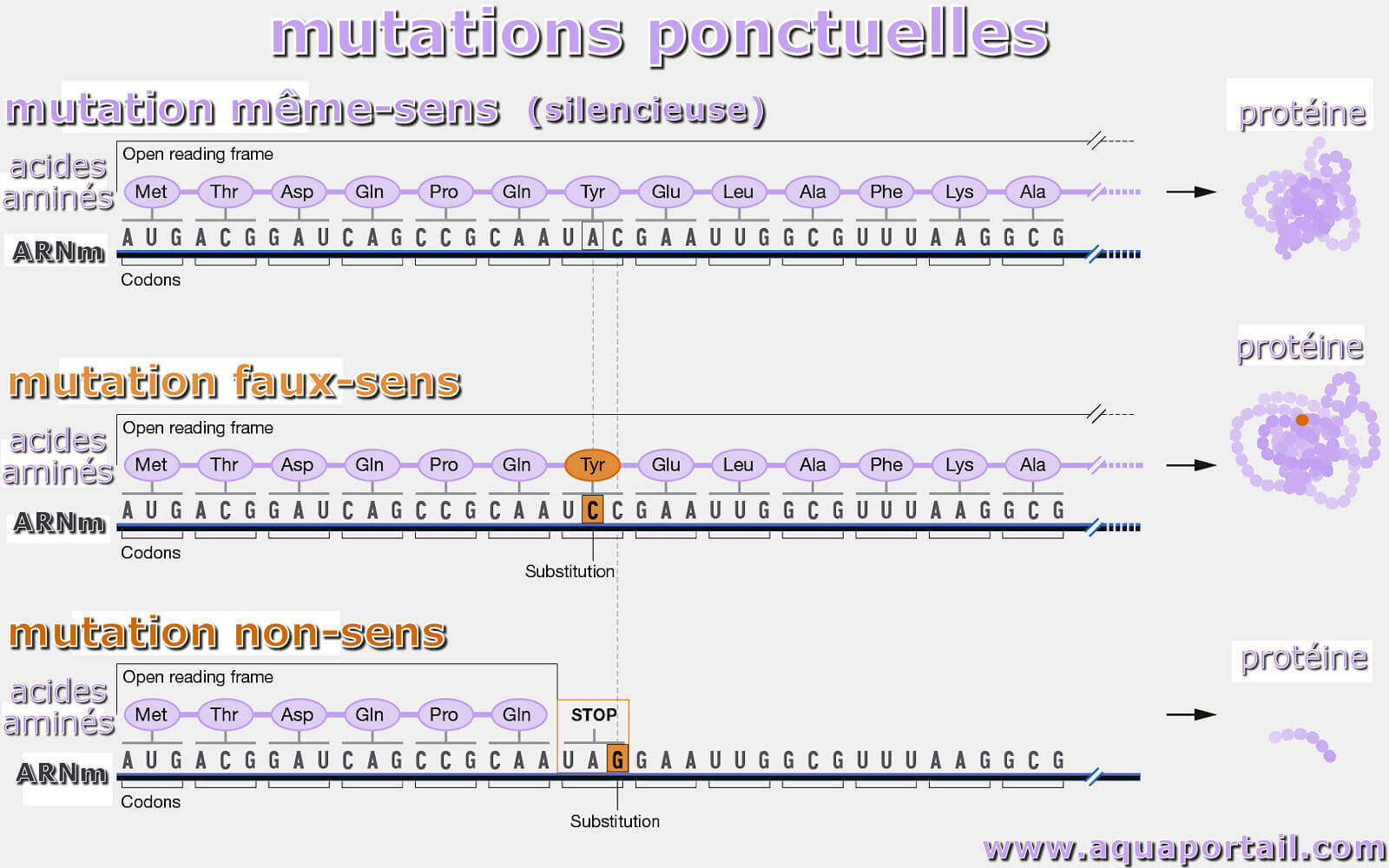 : La Formule 1 en pleine mutation, son ADN préservé ou sacrifié ?