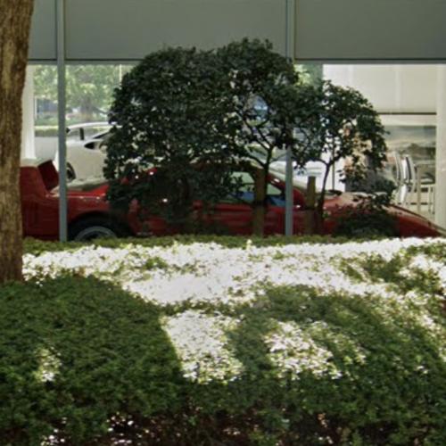 découvrez l'incroyable drift de la ferrari f40 à tokyo avec hamilton, une performance spectaculaire mêlant vitesse et précision au cœur de la ville.